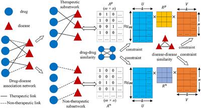 Predicting Drug-Disease Associations via Multi-Task Learning Based on <mark class="highlighted">Collective Matrix Factorization</mark>